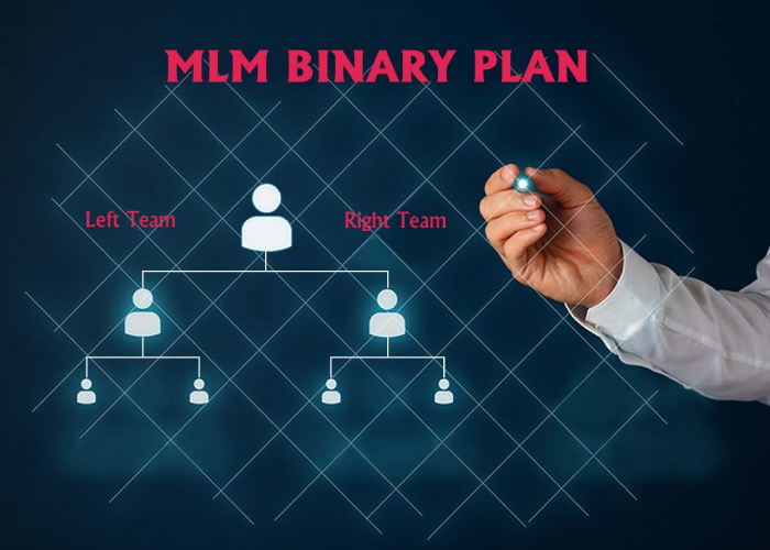 mlm system malaysia - What is MLM Binary Plan